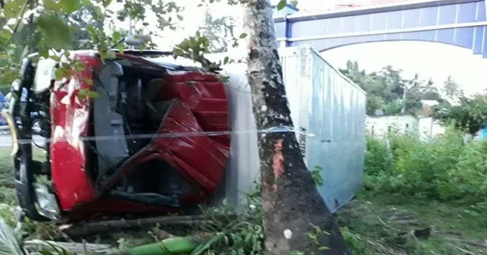 Diduga Supir Mengantuk, Truk Box Terbalik dan Menabrak Pohon Kelapa