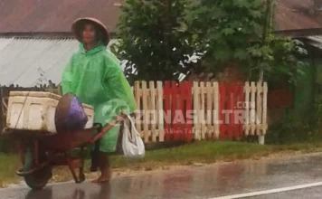 Kisah Nenek Penjual Ikan, Dorong “Lori” Keliling Kampung Kisah Nenek Penjual Ikan, Dorong "Lori" Keliling Kampung