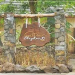 Berwisata ke Lombok? Coba Deh Lombok Elephant Park Lombok Elephant Park