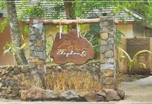 Berwisata ke Lombok? Coba Deh Lombok Elephant Park Lombok Elephant Park