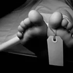 Jatuh dari Pohon Enau, Seorang Kakek di Muna Tewas Hendak Jerat Babi Hutan, Mertua Jadi Korban