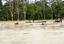 Banjir Konsel, Satu Mobil dan Motor Hanyut Terbawa Arus Banjir Konsel, Satu Mobil dan Motor Hanyut Terbawa Arus
