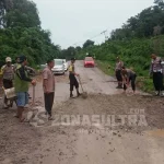 Rawan Kecelakaan, Polsek Lasolo Perbaiki Jalan Menuju Wanggudu yang Rusak Parah Rawan Kecelakaan, Polsek Lasolo Perbaiki Jalan Menuju Wanggudu yang Rusak Parah