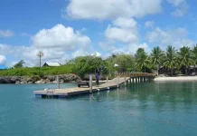 Genjot Wisata Bahari, Selayar Gelar Lomba Pancing Nasional Jokowi Island, Atraksi Baru di Kepulauan Selayar Sulsel