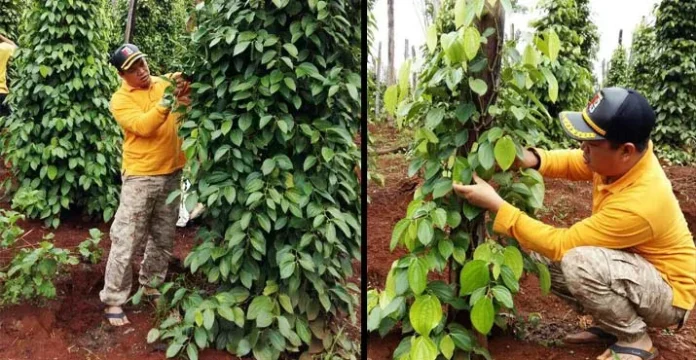 Begini Cara Bupati Konut Mengisi Waktu Libur Ramadhan