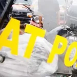 Tak Ada Namanya di SK Pengangkatan, Seorang Petugas Satpol PP di Konut Nyaris Bunuh Diri ilustrasi satpol pp