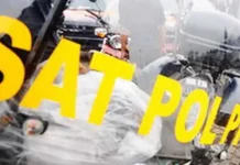 Tak Ada Namanya di SK Pengangkatan, Seorang Petugas Satpol PP di Konut Nyaris Bunuh Diri ilustrasi satpol pp