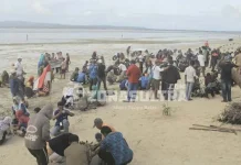 Peringati Hari Lingkungan Hidup, Taman Nasional Wakatobi Tanam 5.000 Bibit Mangrove Peringati Hari Lingkungan Hidup, Taman Nasional Wakatobi Tanam 5.000 Bibit Mangrove