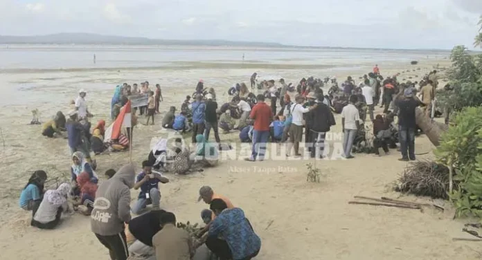 Peringati Hari Lingkungan Hidup, Taman Nasional Wakatobi Tanam 5.000 Bibit Mangrove