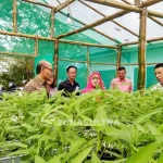 Inflasi Tinggi, BI Himbau Warga Kendari Tanam Sayur di Pekarangan Rumah Inflasi Tinggi, BI Himbau Warga Kendari Tanam Sayur di Pekarangan Rumah