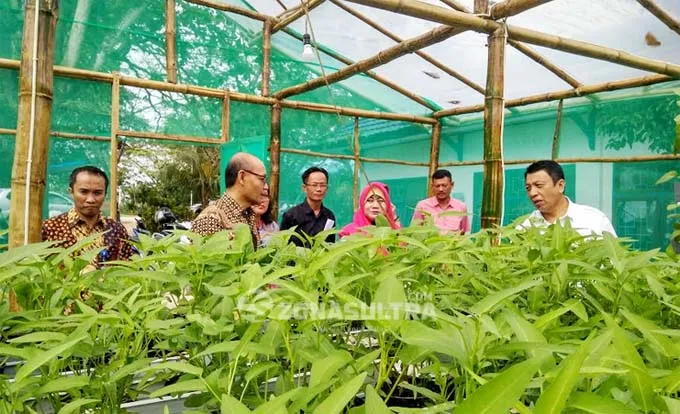 BI_inflasi_URBAN_FARMING Inflasi Tinggi, BI Himbau Warga Kendari Tanam Sayur di Pekarangan Rumah