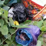 Orok yang Ditemukan di BTN Batu Marupa Adalah Hasil Aborsi