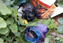 Orok yang Ditemukan di BTN Batu Marupa Adalah Hasil Aborsi