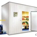 Tingkatkan Ekonomi di Sektor Perikanan, DKP Konut Bangun Pabrik Costorage Tingkatkan Ekonomi di Sektor Perikanan, DKP Konut Bangun Pabrik Costorage