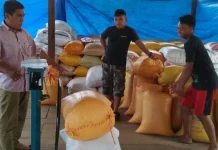 Panen 90 Ton Jagung, Pemda Konut Tepis Isu Gagal Tanam Panen 90 Ton Jagung, Pemda Konut Tepis Isu Gagal Tanam