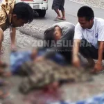Tak Mampu Kendalikan Laju Motornya, Pemuda di Kolut Tabrak Truk Hingga Tewas di Tempat Tak Mampu Kendalikan Laju Motornya, Pemuda di Kolut Tabrak Truk Hingga Tewas di Tempat