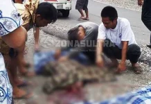 Tak Mampu Kendalikan Laju Motornya, Pemuda di Kolut Tabrak Truk Hingga Tewas di Tempat Tak Mampu Kendalikan Laju Motornya, Pemuda di Kolut Tabrak Truk Hingga Tewas di Tempat