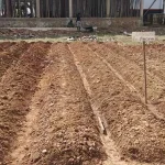 PHL Malas, Kadis Pariwisata Konut Berang PHL Malas, Kadis Pariwisata Konut Berang