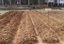 PHL Malas, Kadis Pariwisata Konut Berang PHL Malas, Kadis Pariwisata Konut Berang