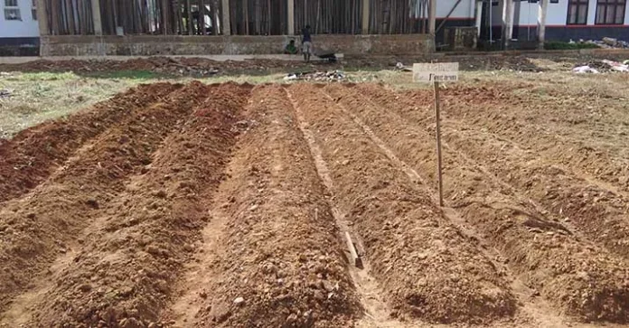 PHL Malas, Kadis Pariwisata Konut Berang