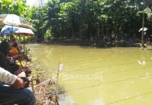 170 Orang Ikut Lomba Mancing BSK Cup I 170 Orang Ikut Lomba Mancing BSK Cup I