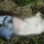 Polres Wakatobi Selidiki Identitas Mayat yang Terdampar di Pantai Matahora Polres Wakatobi Selidiki Identitas Mayat yang Terdampar di Pantai Matahora