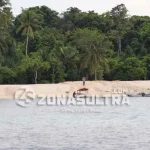 Balai Taman Nasional Wakatobi Sadarkan 21 Penambang Pasir Ilegal Balai Taman Nasional Wakatobi Sadarkan 21 Penambang Pasir Ilegal