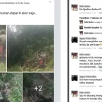 Pelaku Pemburu Monyet yang Viral di Facebook Terancam Pidana 5 Tahun Penjara Pelaku Pemburu Monyet yang Viral di Facebook Terancam Pidana 5 Tahun Penjara