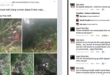 Pelaku Pemburu Monyet yang Viral di Facebook Terancam Pidana 5 Tahun Penjara Pelaku Pemburu Monyet yang Viral di Facebook Terancam Pidana 5 Tahun Penjara