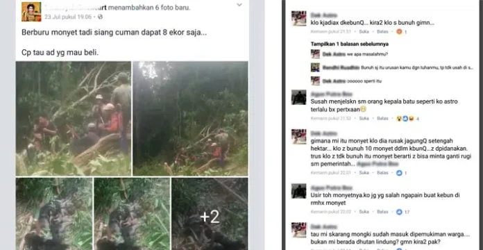 Pelaku Pemburu Monyet yang Viral di Facebook Terancam Pidana 5 Tahun Penjara