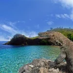 Yes! Taman Nasional Komodo Sambar World Top 10 Best Destinations versi Natinal Geographic Yes! Taman Nasional Komodo Sambar World Top 10 Best Destinations versi Natinal Geographic