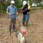 Gempita Sultra Mulai Menanam 2.300 Hektar Jagung Hibrida Gempita Sultra Mulai Menanam 2.300 Hektar Jagung Hibrida