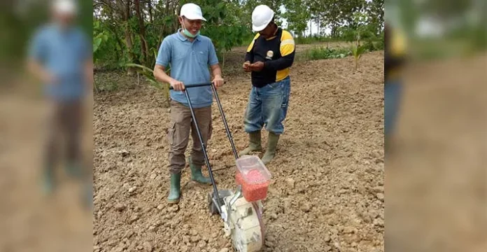 Gempita Sultra Mulai Menanam 2.300 Hektar Jagung Hibrida
