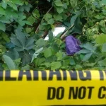 Warga BTN Marupa, Temukan Mayat Bayi Dalam Styrofoam Warga BTN Marupa, Temukan Mayat Bayi Dalam Styrofoam