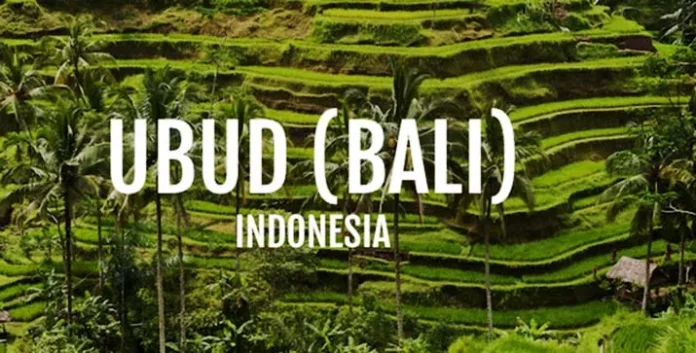 15 Kota Terbaik di Dunia Salah Satunya Ubud Bali