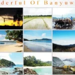 Kunker DPR, Puji Pariwisata Banyuwangi Tumbuh Pesat Kunker DPR, Puji Pariwisata Banyuwangi Tumbuh Pesat