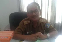 Pasang Baliho di Pohon, DLHK Nilai Tim Sukses Balon Gubernur Tidak Paham Aturan pelaksana tugas (Plt) Kepala Dinas Lingkungan Hidup dan Kebersihan Kota Kendari Mohammad Nur Razak