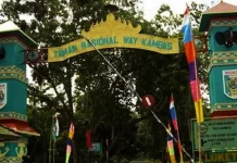 Lewat Camping, Lampung Timur Gerakkan Pariwisata Lewat Camping, Lampung Timur Gerakkan Pariwisata