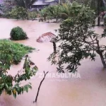 Dua Hari di Guyur Hujan Deras, Dua Desa di Kolut Terendam Banjir Dua Hari di Guyur Hujan Deras, Dua Desa di Kolut Terendam Banjir