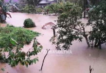Dua Hari di Guyur Hujan Deras, Dua Desa di Kolut Terendam Banjir Dua Hari di Guyur Hujan Deras, Dua Desa di Kolut Terendam Banjir