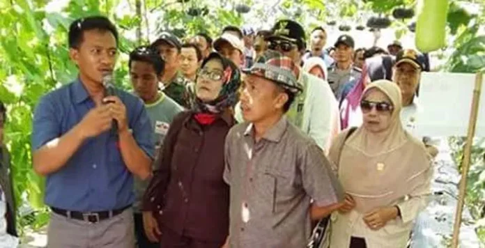 Sulap Lahan Tidur Jadi Kebun Holtikultura, Alumni Pertanian UHO Panen Pujian