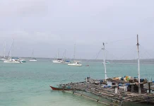 58 Kapal Yacth Sail Wonderful Indonesia 2017 Sudah Berlabuh di Wakatobi Di Wakatobi, Peserta Sail Tiba Lebih Cepat