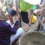 Dikunjungi Turis, Beras Di Desa Percontohan Organik Butur Laris Manis Dikunjungi Turis, Beras Di Desa Percontohan Organik Butur Laris Manis