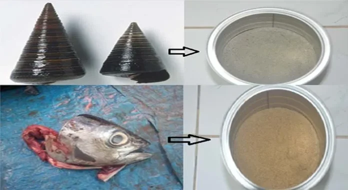 Penemuan Pakan Alternatif untuk Budidaya Lobster di Sultra