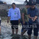 BTNW Lepasliarkan 10 Ekor Napoleon BTNW Lepasliarkan 10 Ekor Napoleon