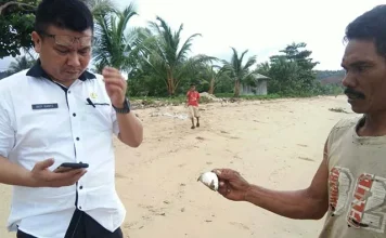 Menyimak Sisi Gelap Kehidupan Nelayan Mandiodo, Dampak Aktivitas Tambang PT Wanagon dan PT Sangia Menyibak Sisi Gelap Kehidupan Nelayan Mandiodo, Dampak Aktivitas Tambang PT Wanagon dan PT Sangia