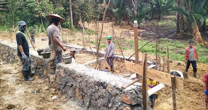 Pabrik Pengolahan Sagu di Konawe, Beroperasi Tahun Ini