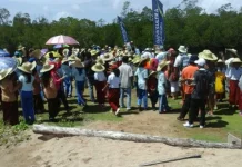 Peserta Sail Wonderful Indonesia “Cuci Mata” Di Tanah Merah Peserta Sail Wonderful Indonesia "Cuci Mata" Di Tanah Merah