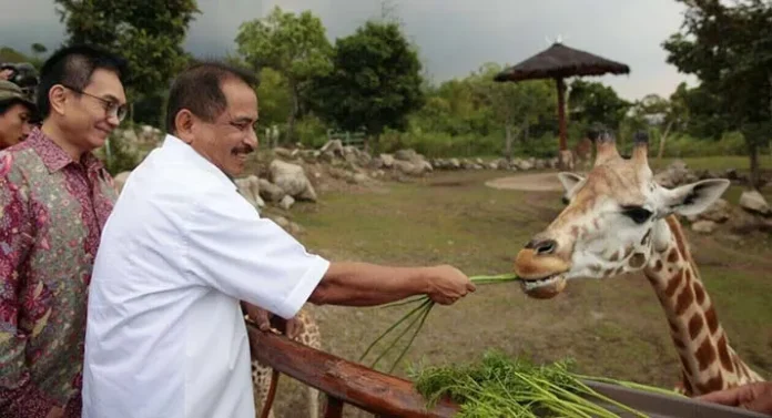 Menpar Arief Yahya Namakan Anak Jerapah "Bimo" di Peresmian Baobab Safari Resort