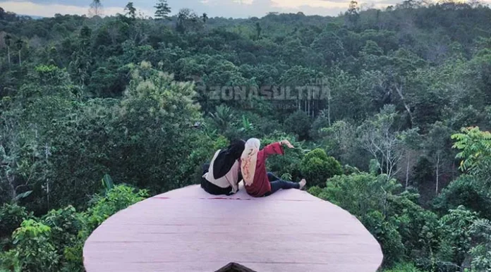 Puncak Saiful Tamvuraka, wisata kendari, wisata sultra, wisata konsel, wisata kendari